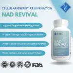 NAD Revival cellular energy rejuvenation supplement by S-Cell for longevity and wellness