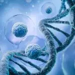 Biological Age Test - Epigenetic Markers Home Test by Muhdo UK