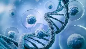 Biological Age Test - Epigenetic Markers Home Test by Muhdo UK