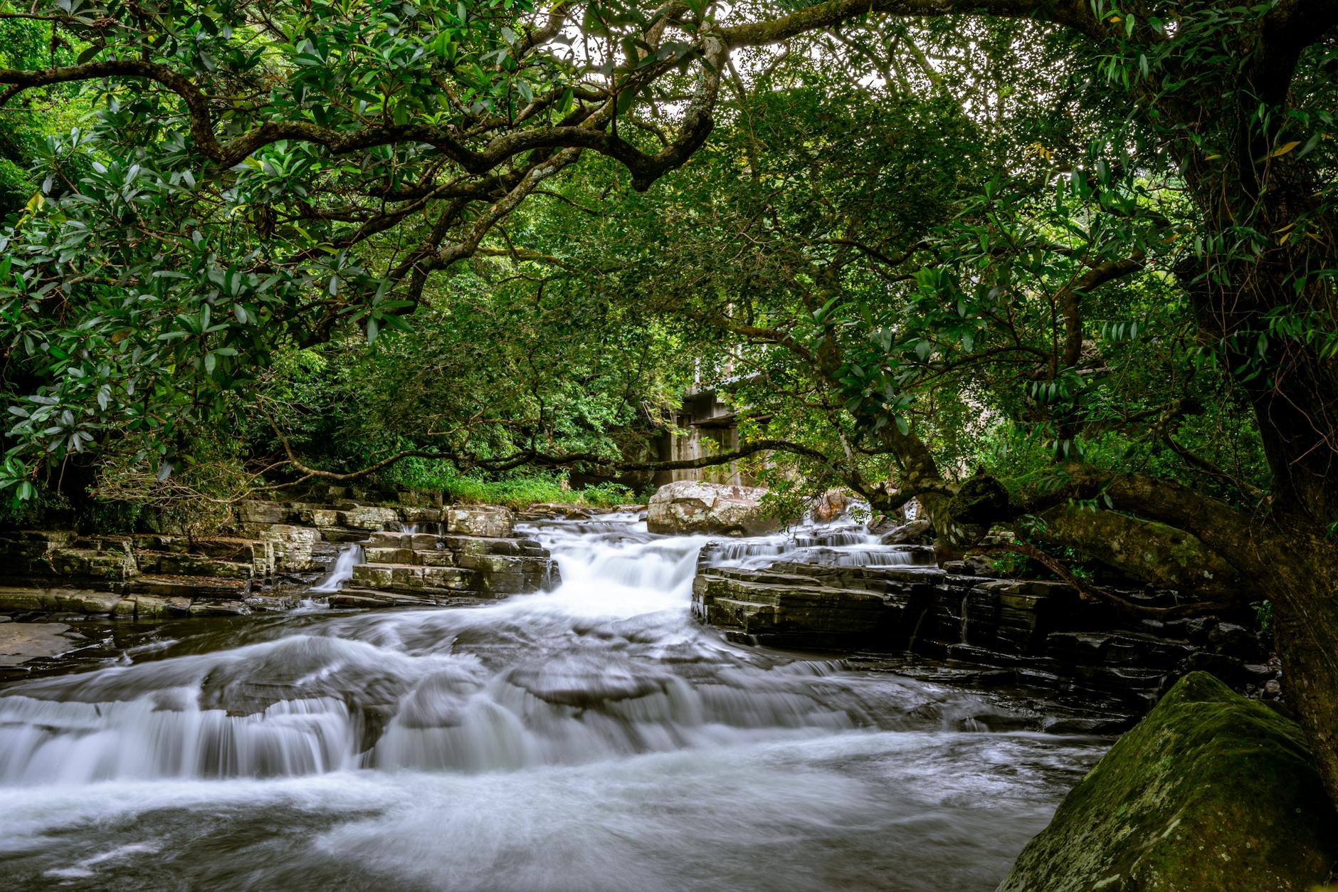 Restorative Ayurveda Journeys Along Sri Lanka’s Coast: Samir’s Wellness Story - featured image